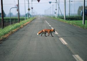 一宮市での自動車リース徹底ガイド!家族に最適なプランを見つけるためのポイントとは